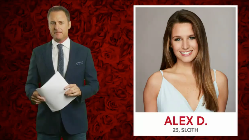 Illustration for article titled Colton Underwood's Bachelor Contestants: A 'Sloth,' a Villainous DJ, and Not a Single Lauren